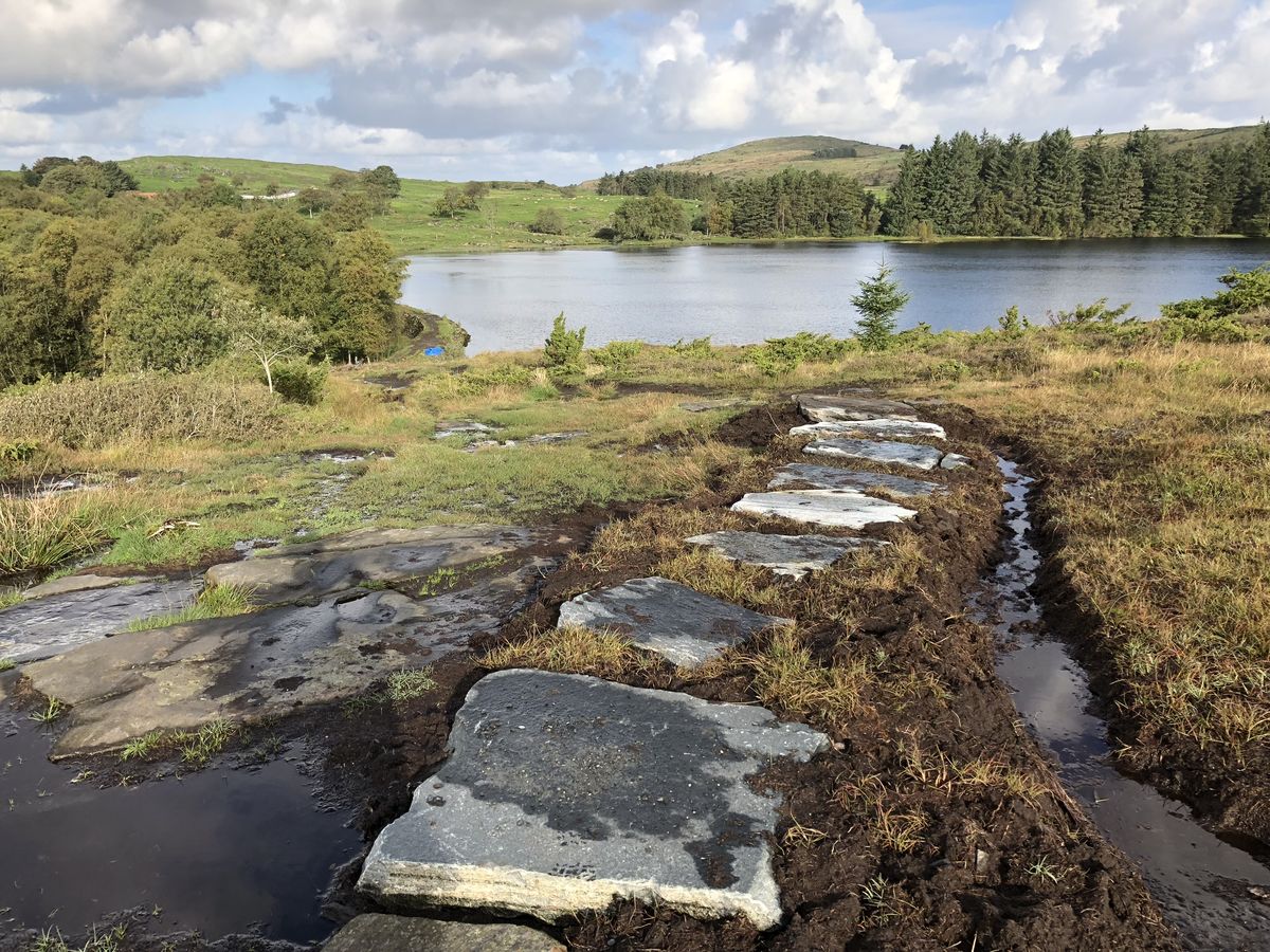 Rennesøy: Sel-Dalestemmen rundt