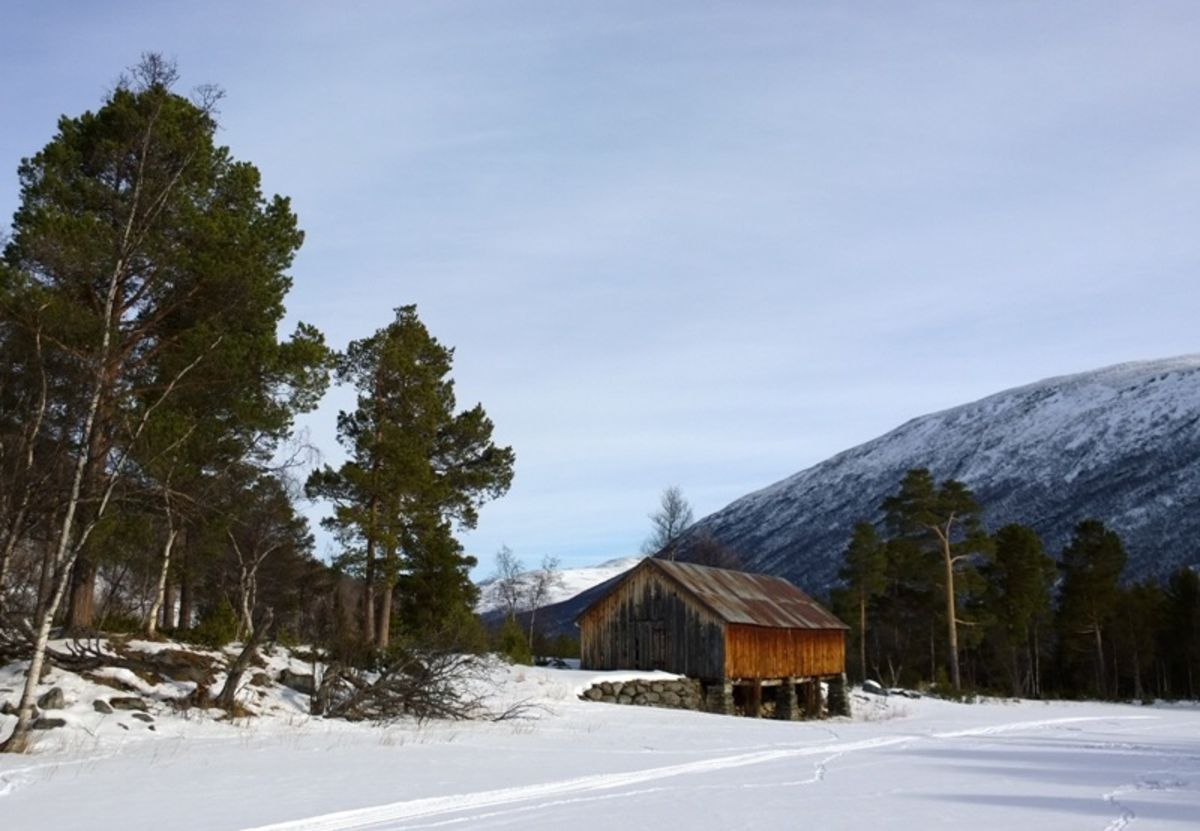 Sætermorka trimpost