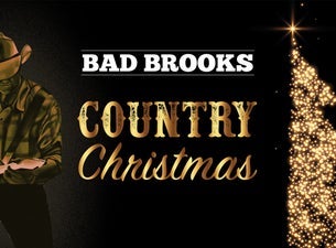 Bad Brooks - Coming back to life tour