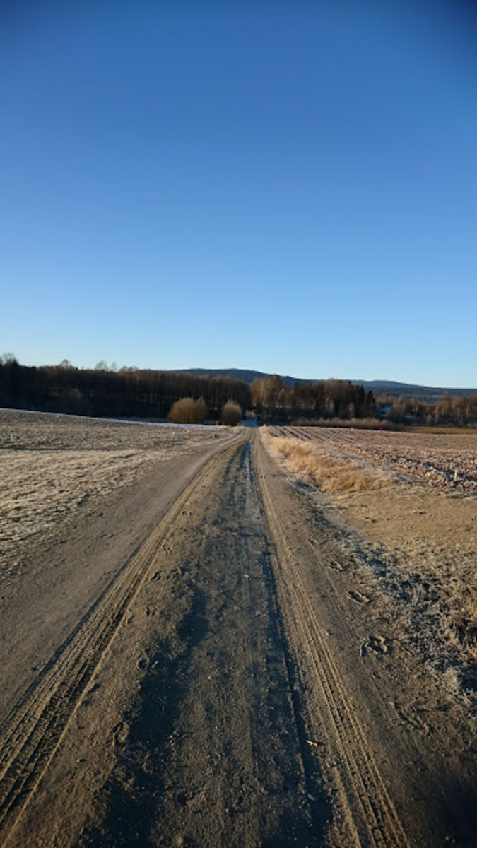 Bergermoen rundt og rundt