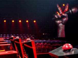 The Voice - Blind Audition 3