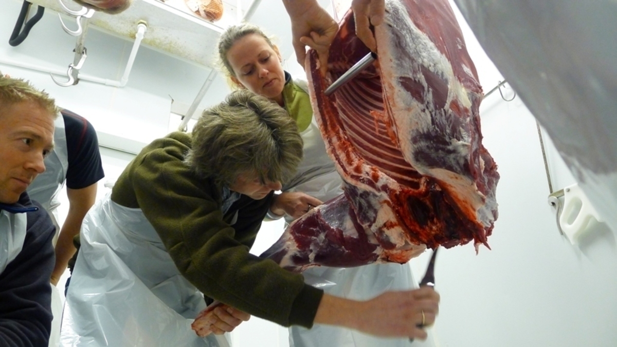 Parteringskurs 25. august 2022