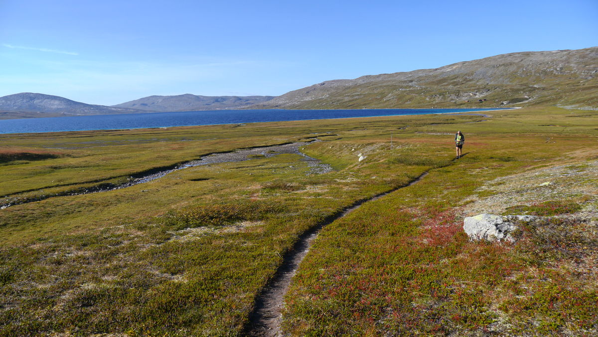 Bleiknesmo (Saltdal) til Bjellåvasstua | Enjoy, alle ...