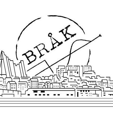 BRÅK workshop i Tromsø