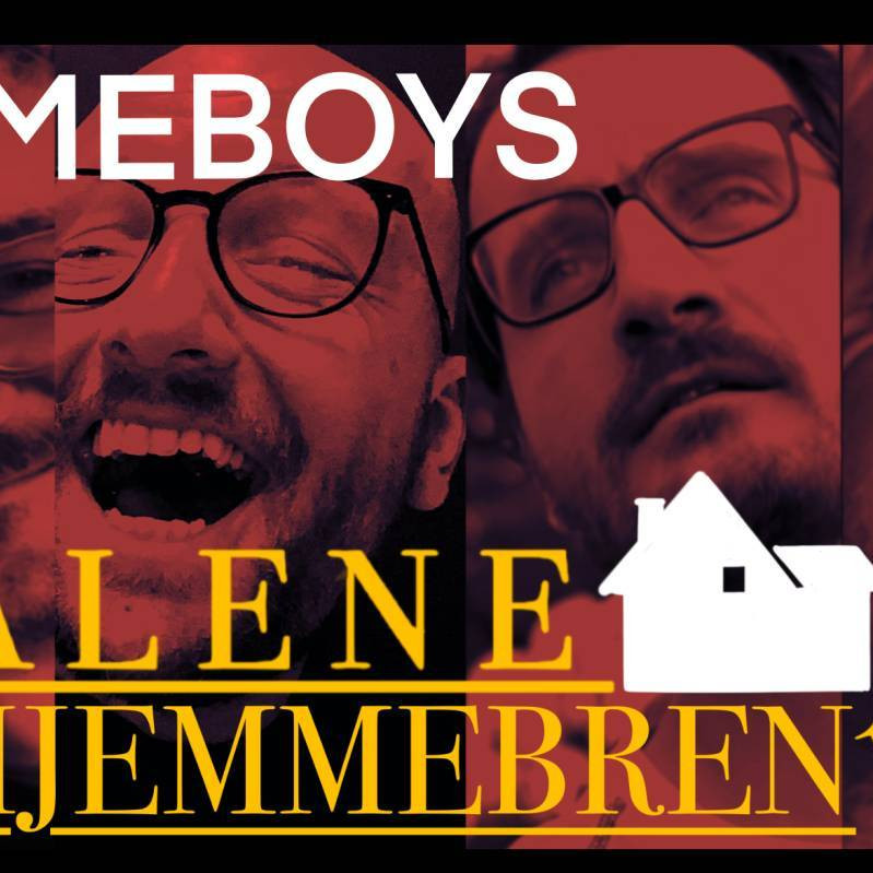 Gameboys spiller Alene Hjemmebrent