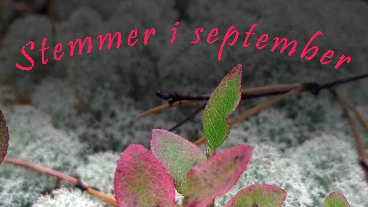 Stemmer i september