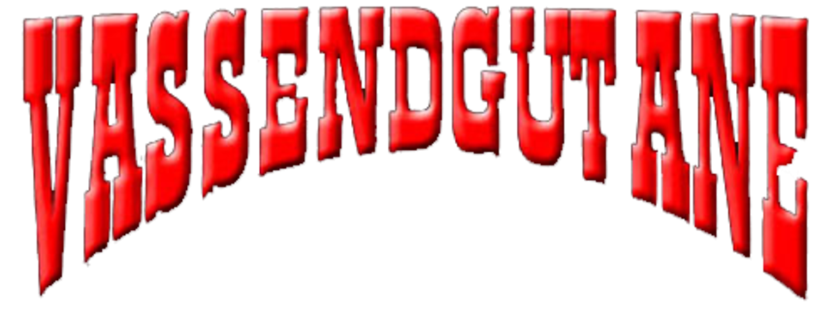 Vassendgutane 27. desember i Braatthallen