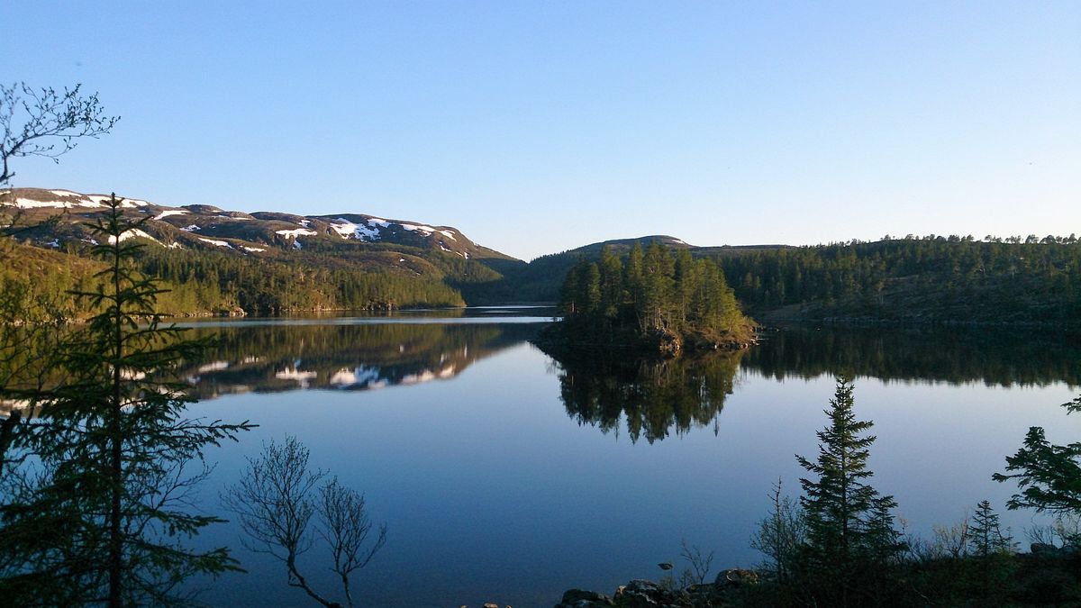 Fottur til Elgsjøen, utleiehytte v/Osen Fjellstyre