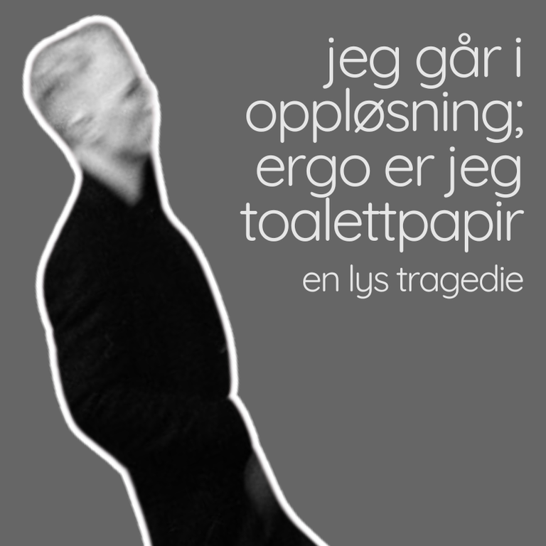 ergo er jeg toalettpapir