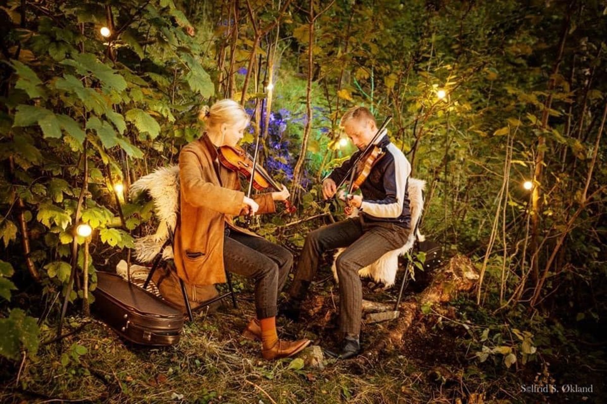 Linjer: Vandring på Varbak // Diverse artister