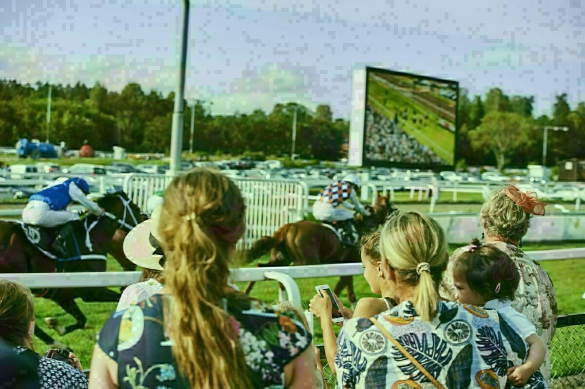 Øvrevoll Galopp - FØRSALG Breeders løpsdag 29.09.24