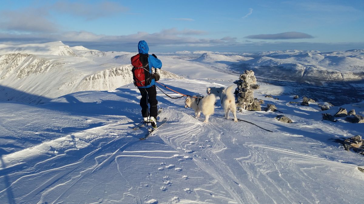 Okla Snydda 1580 moh.