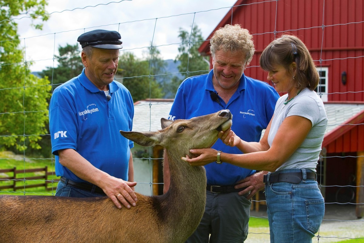 Kurs i hjorteoppdrett våren 2021