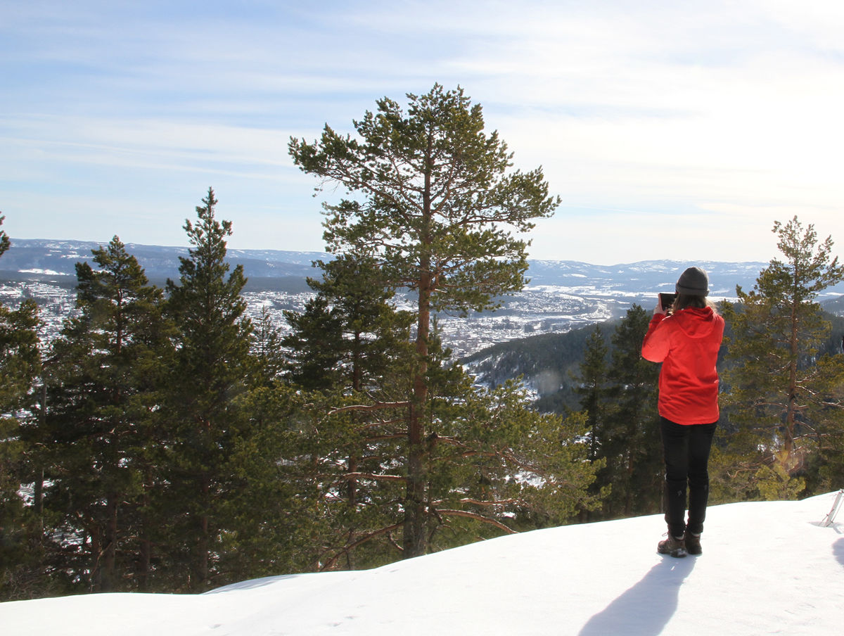 Labbeløype - Tangentjern- Haus Gabelåsen