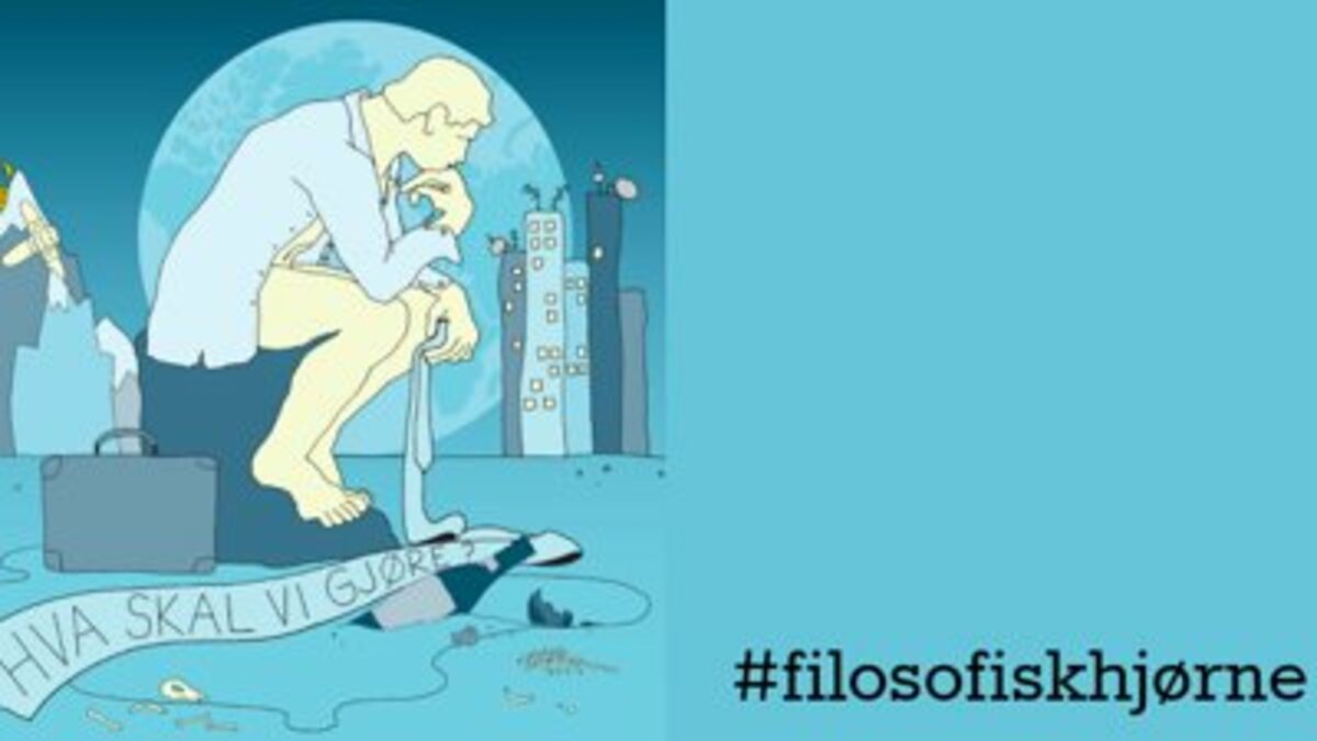 Filosofisk hjørne i august 2023