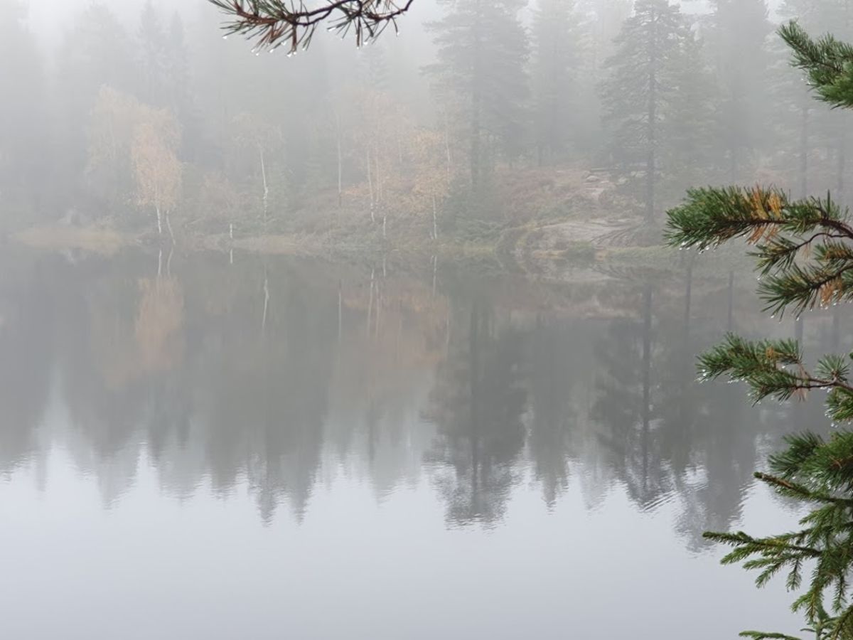 på kjente blåstier og umerkede stier på Romeriksåsen