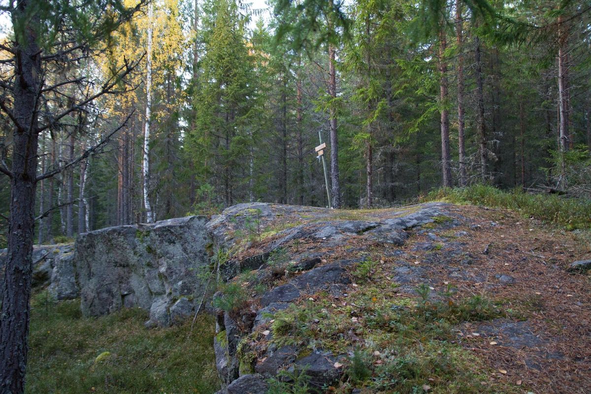 8 km-runden i Brenneriroa