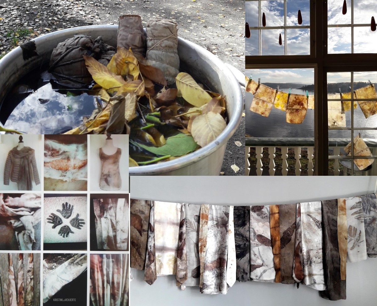 Plante Farge Magi. Passer for alle aldre