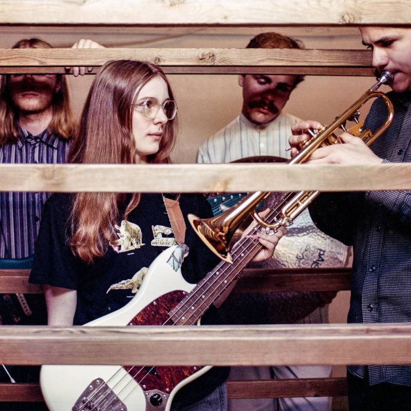 Fucales@Antikvariatet