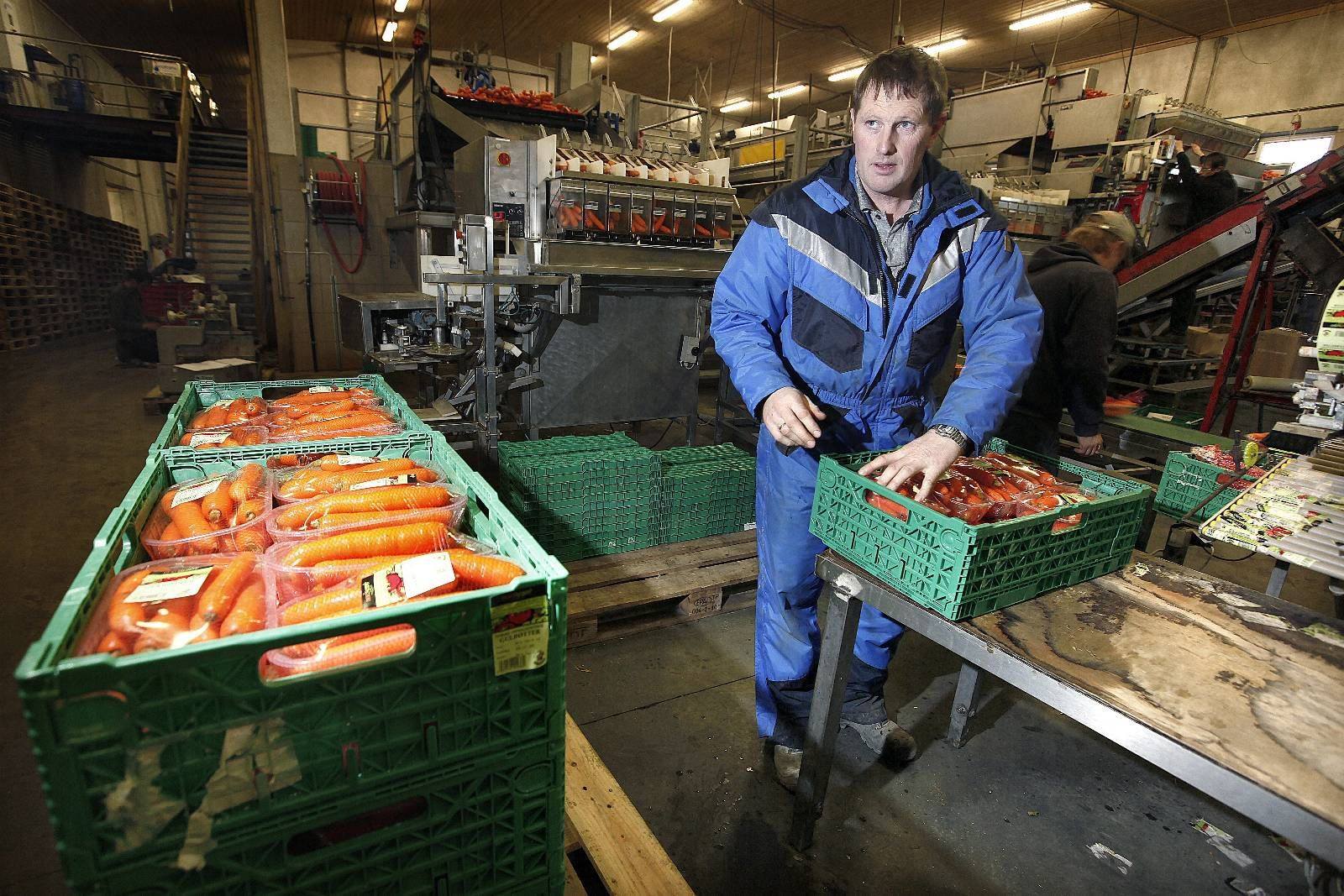 Den utrolige historien om Bru gard