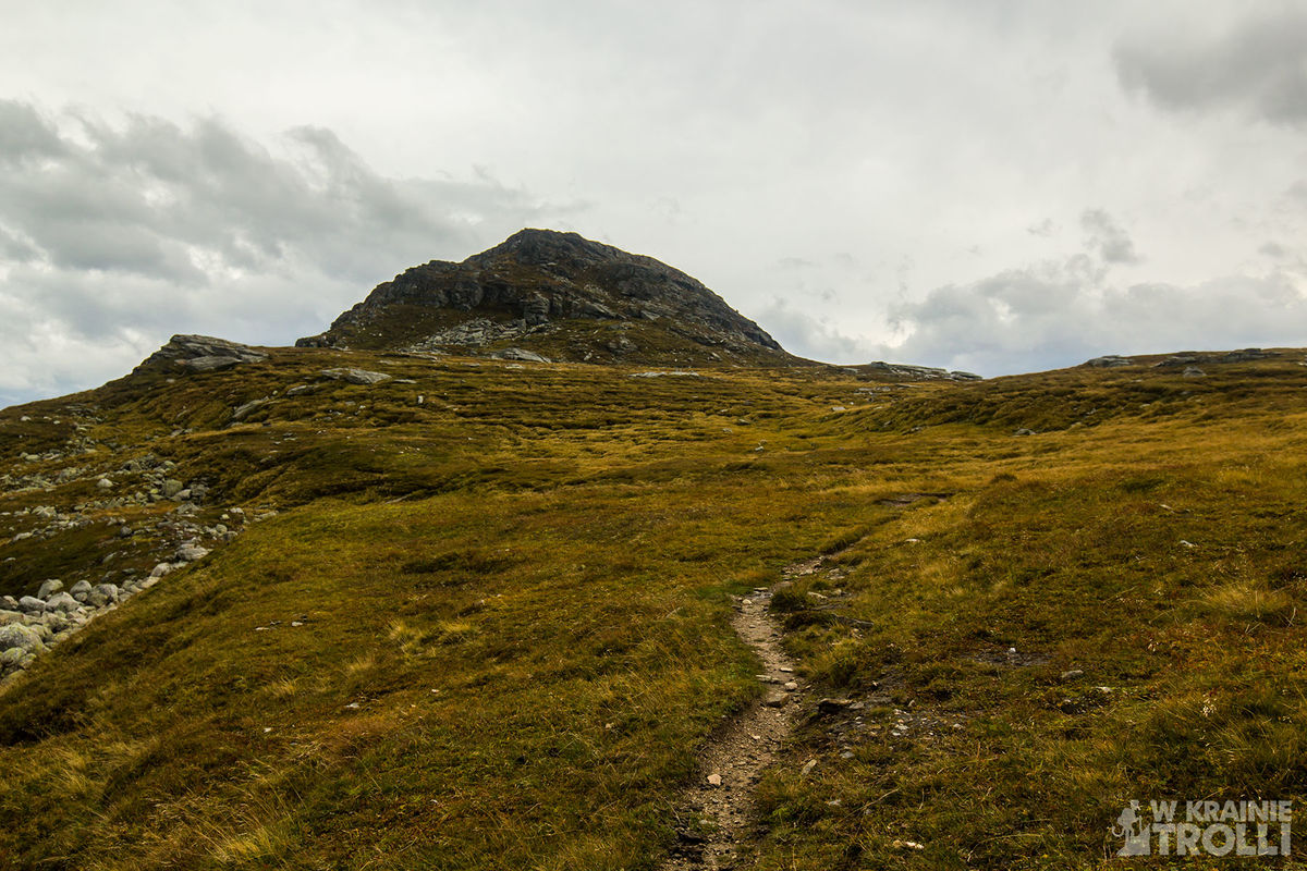 Blomstølen og Reinsnuten