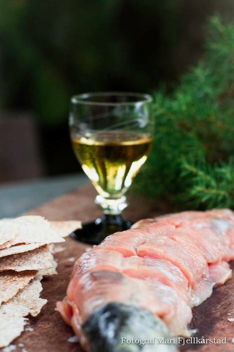 Årets rakfiskkveld i Jølstramuseet