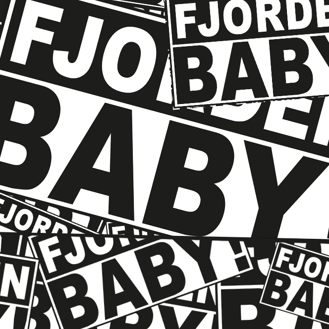 Fjorden Baby! — Lokal Klubb