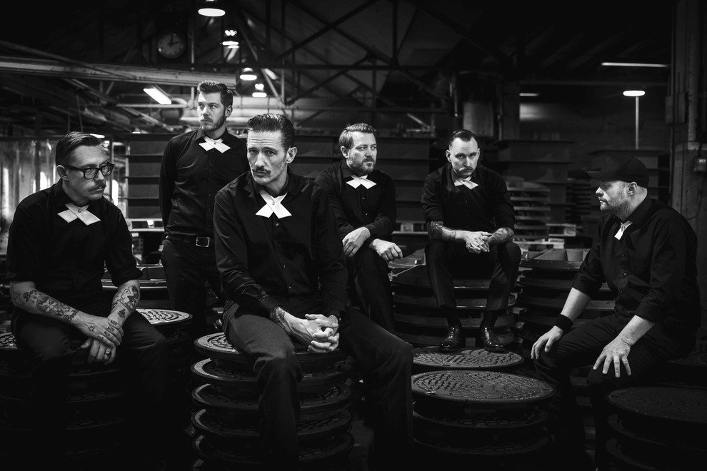 The Dogs // The Good The Bad & The Zugly // Dangerface