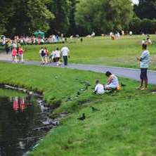 Dette livet eller det neste