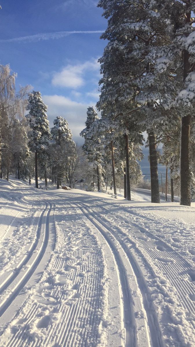 Langrennstur fra Flåtan til Spiralen (liten rundtur)