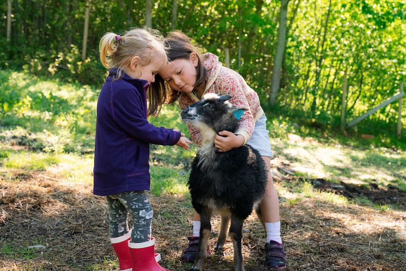 15 besøksgårder og setre for barnefamilier