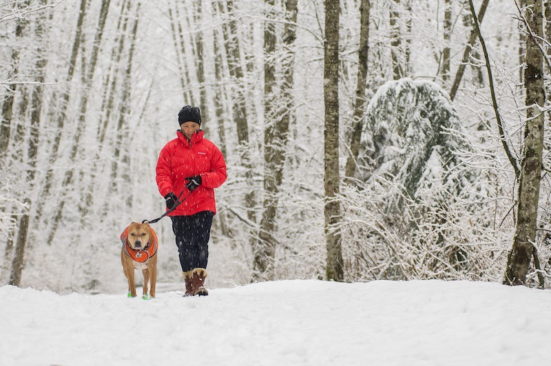 Nytt år, nye muligheter!