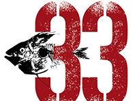 Skur 33