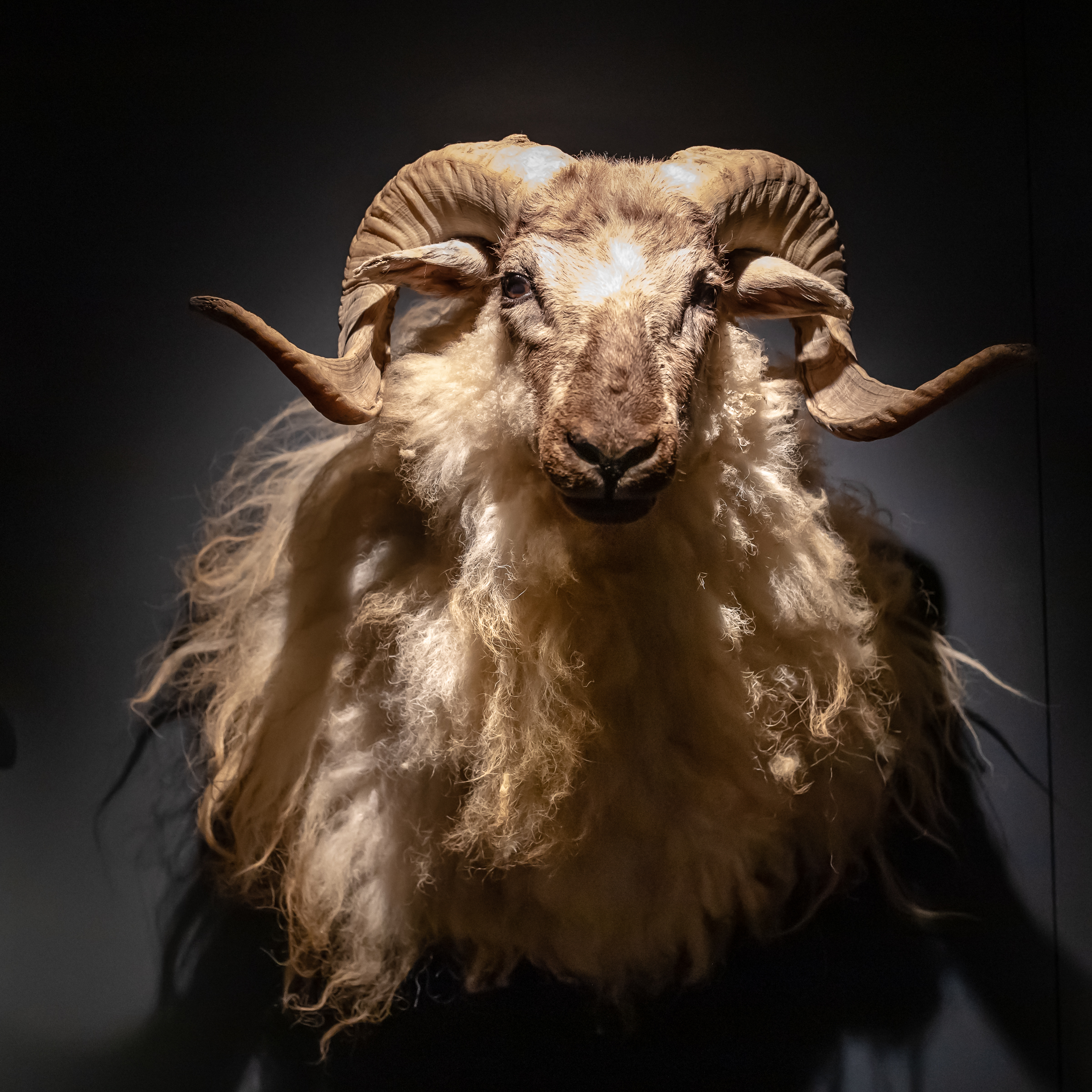 Tråd på pinnen - strikkedag på Vitengarden 25. oktober 2025