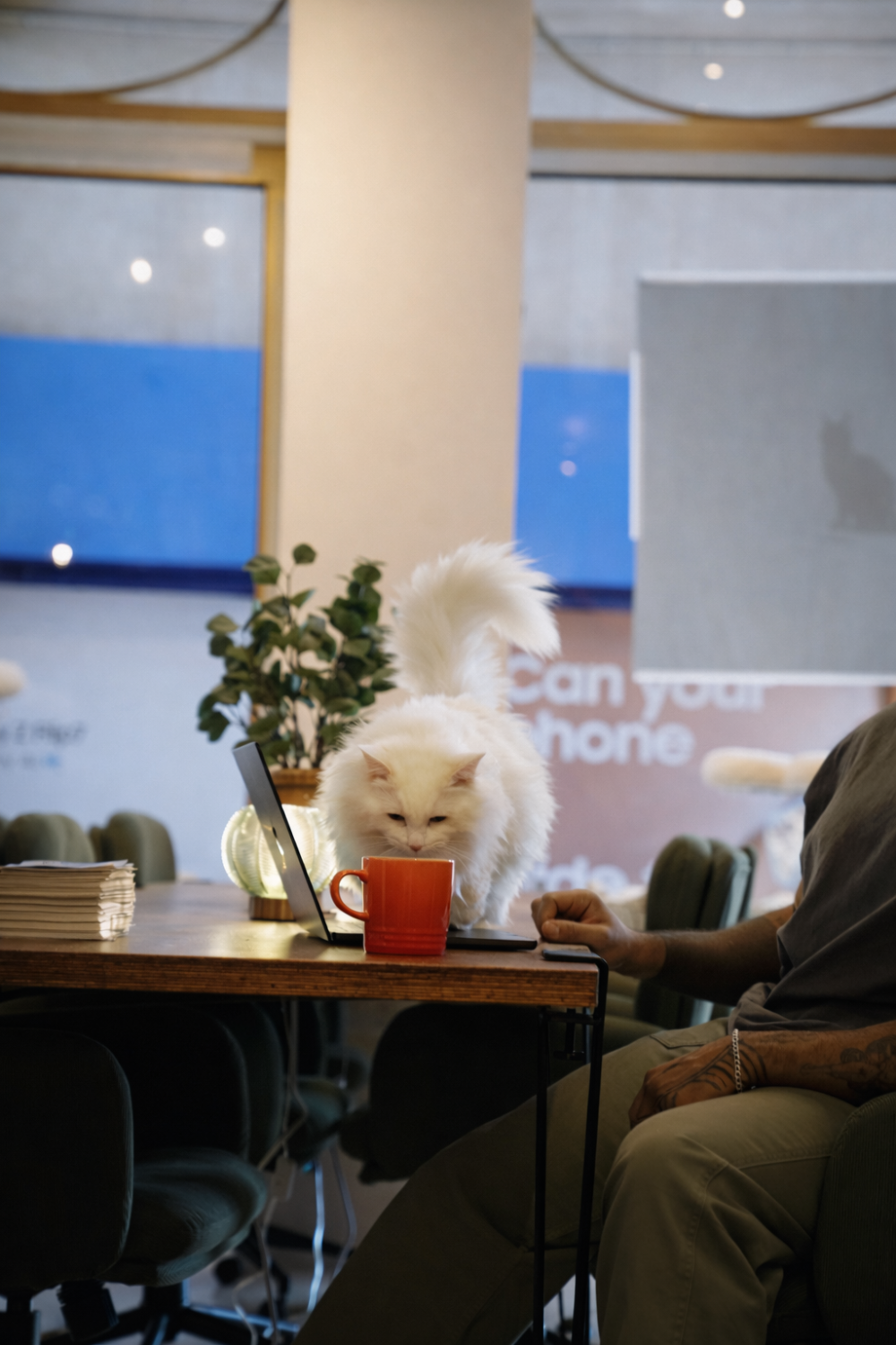 Photo 4