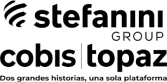 logo stefanini