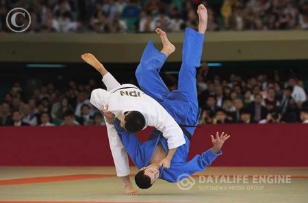 Седем събаряния, които всеки BJJ боец трябва да знае