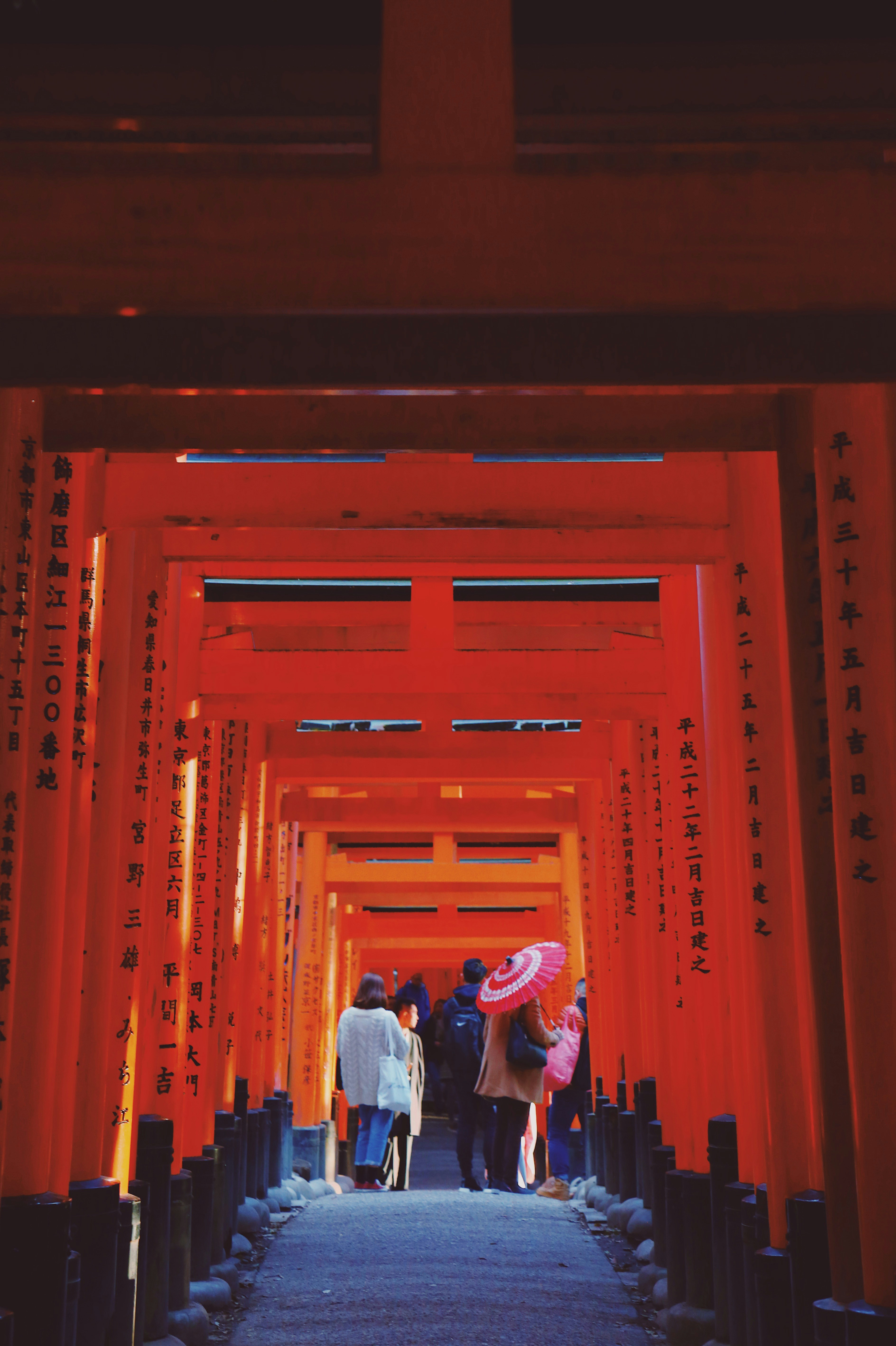 Fushimi Inari Taisha Shrine (Main Hall) 3