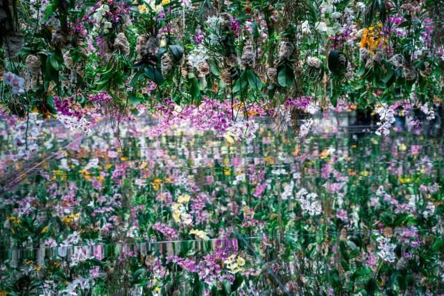 teamLab Planets TOKYO