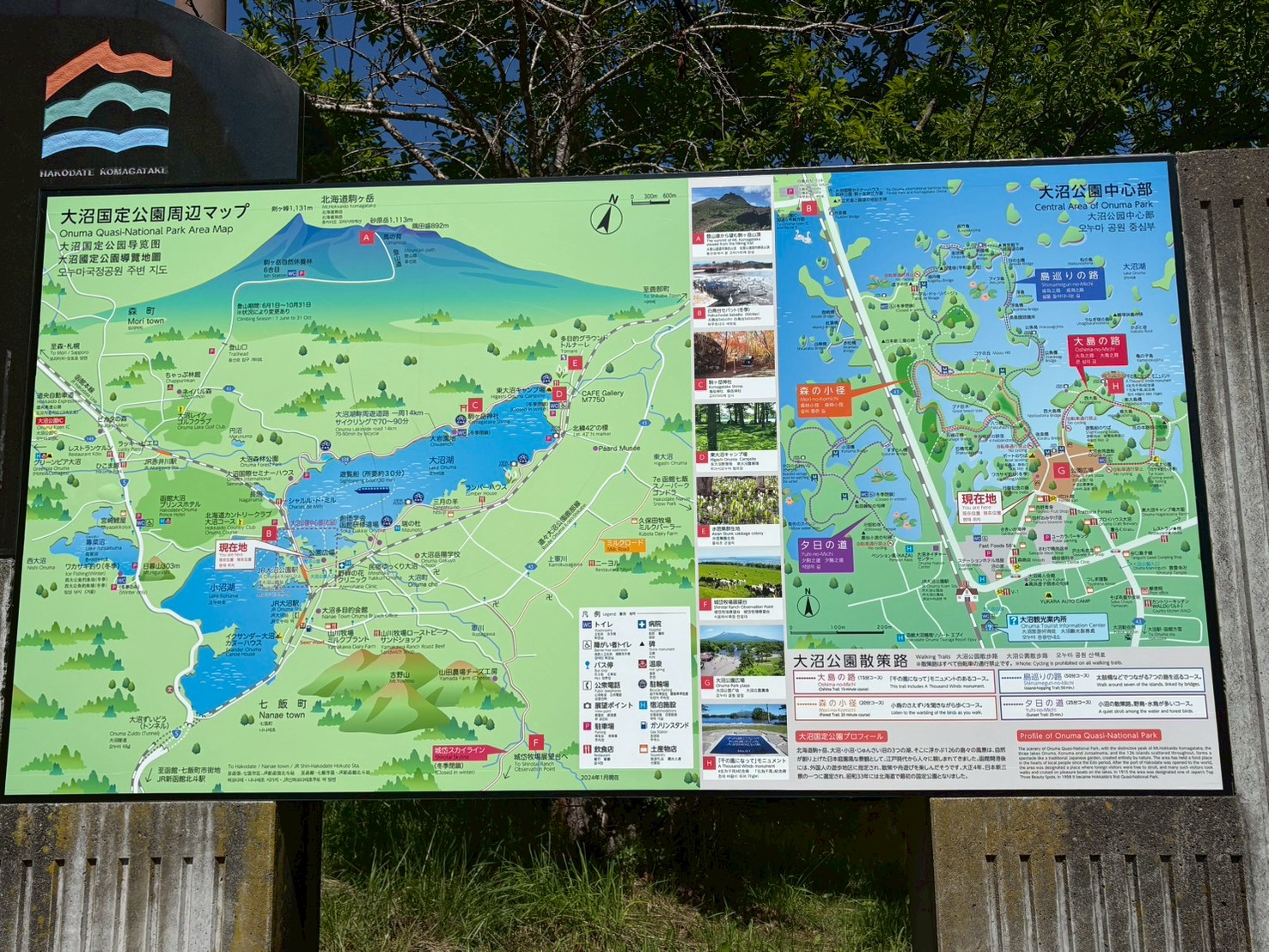 大沼国定公園 5