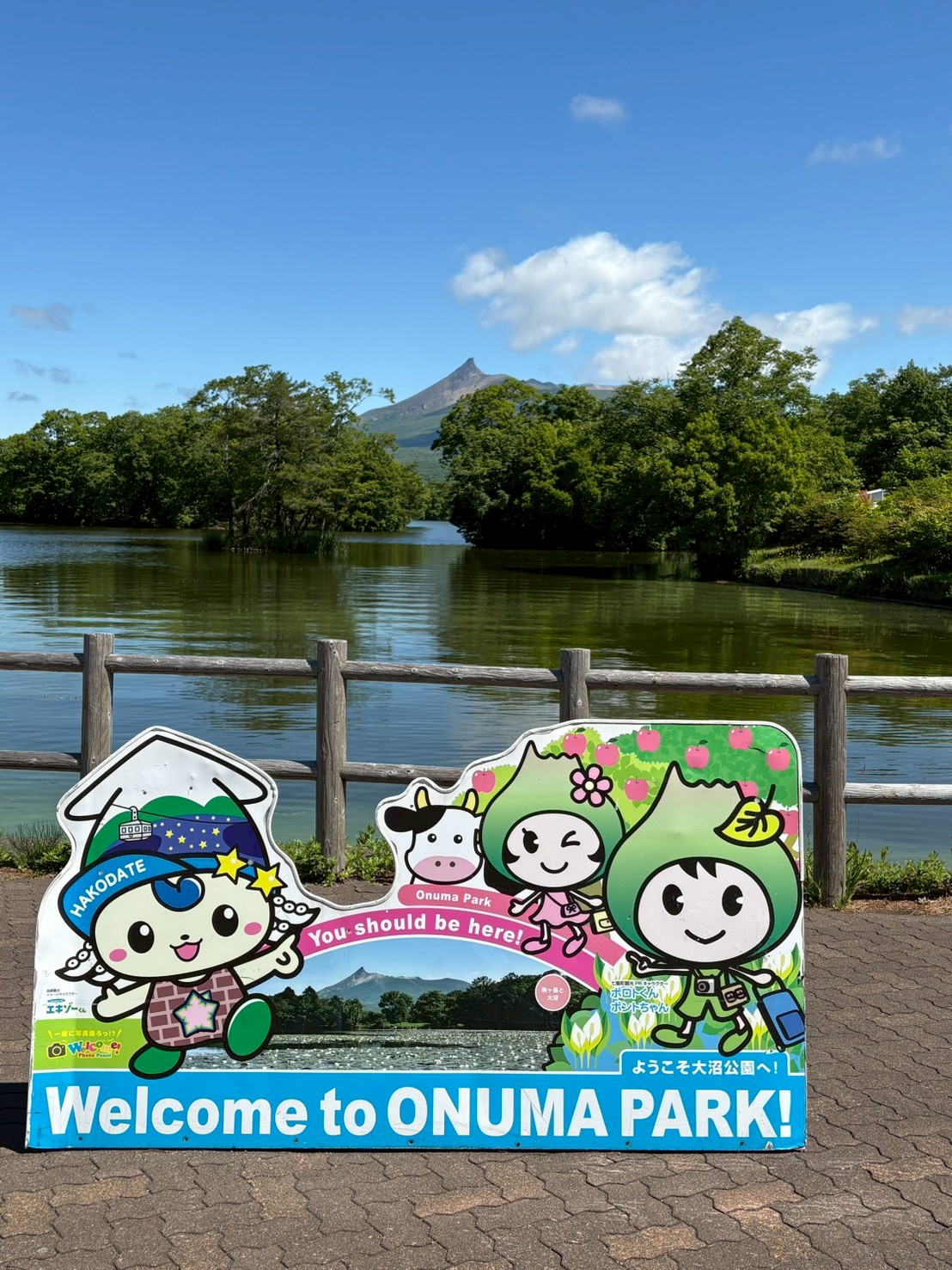 大沼国定公園 2