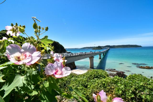 Tsunoshima Bridge