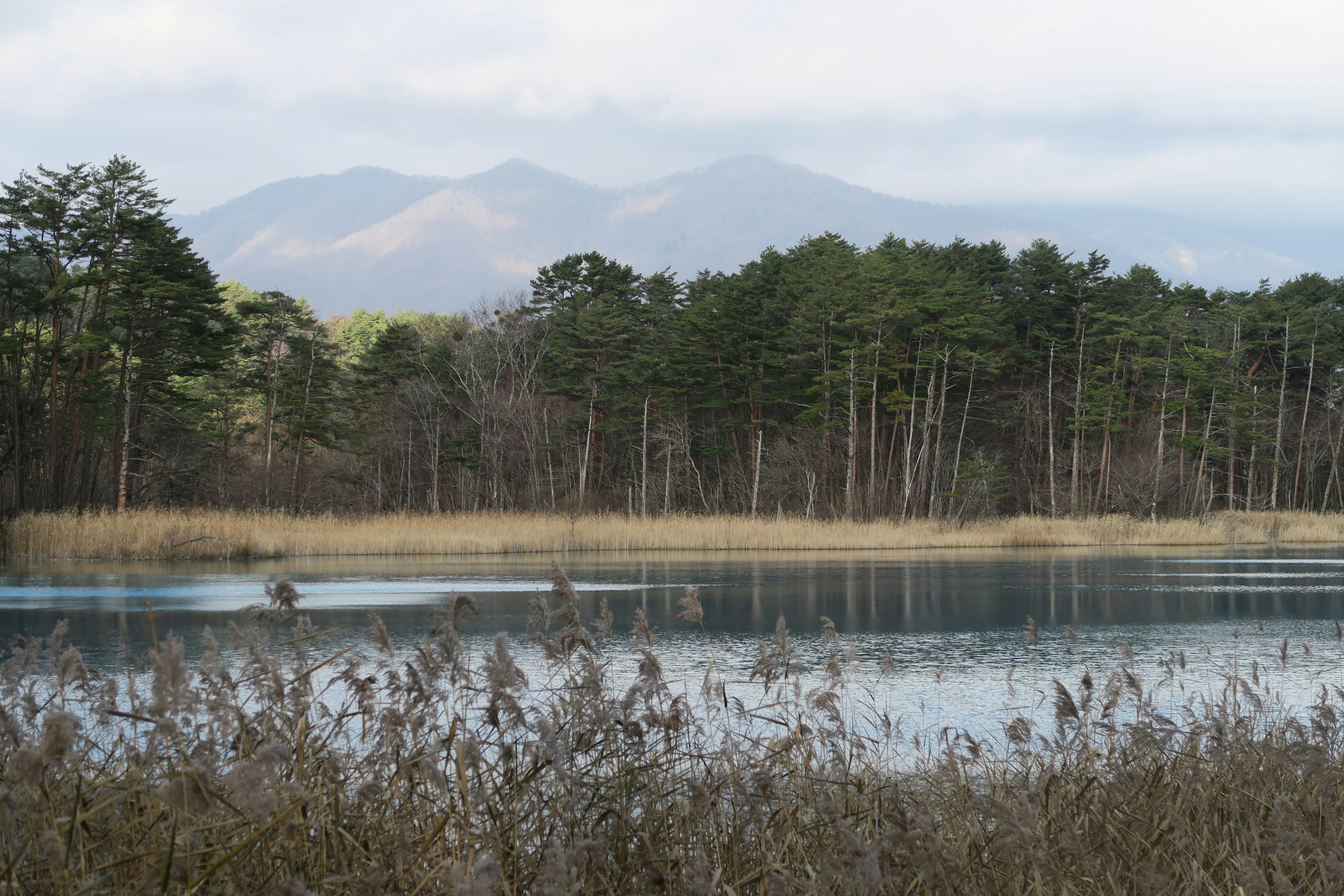 Goshikinuma Ponds 2