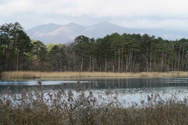 Goshikinuma Ponds
