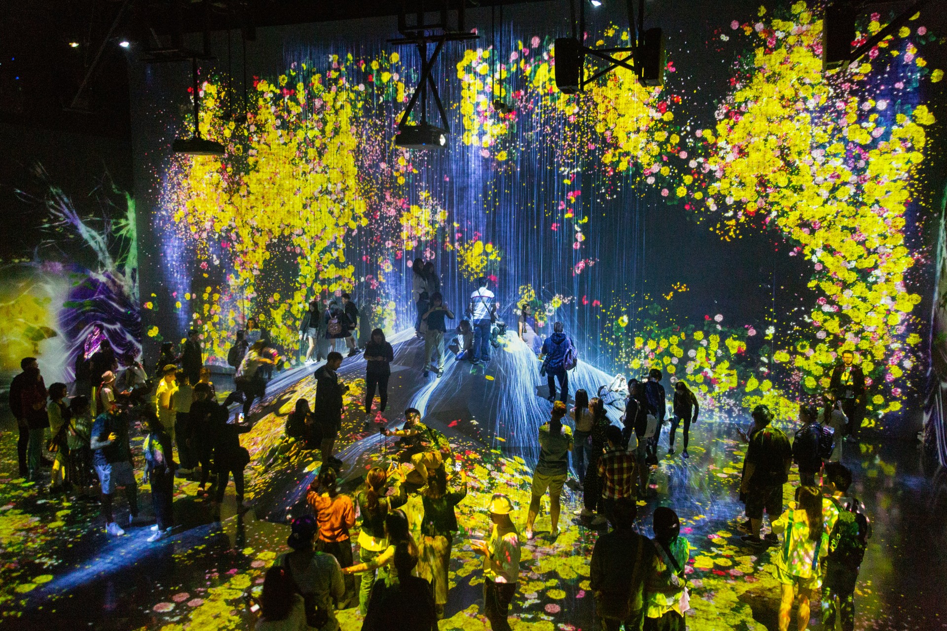 teamLab Borderless: MORI Building DIGITAL ART MUSEUM 4