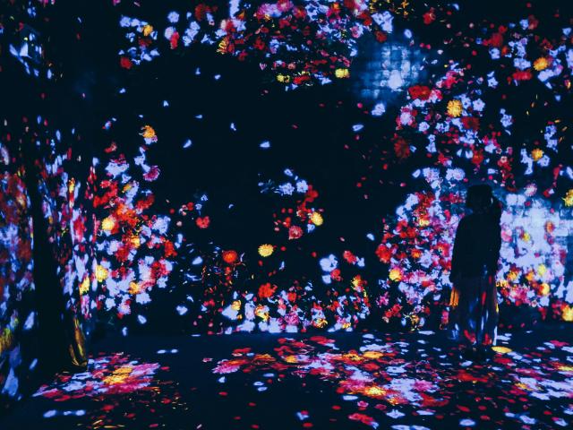 teamLab Borderless: MORI Building DIGITAL ART MUSEUM