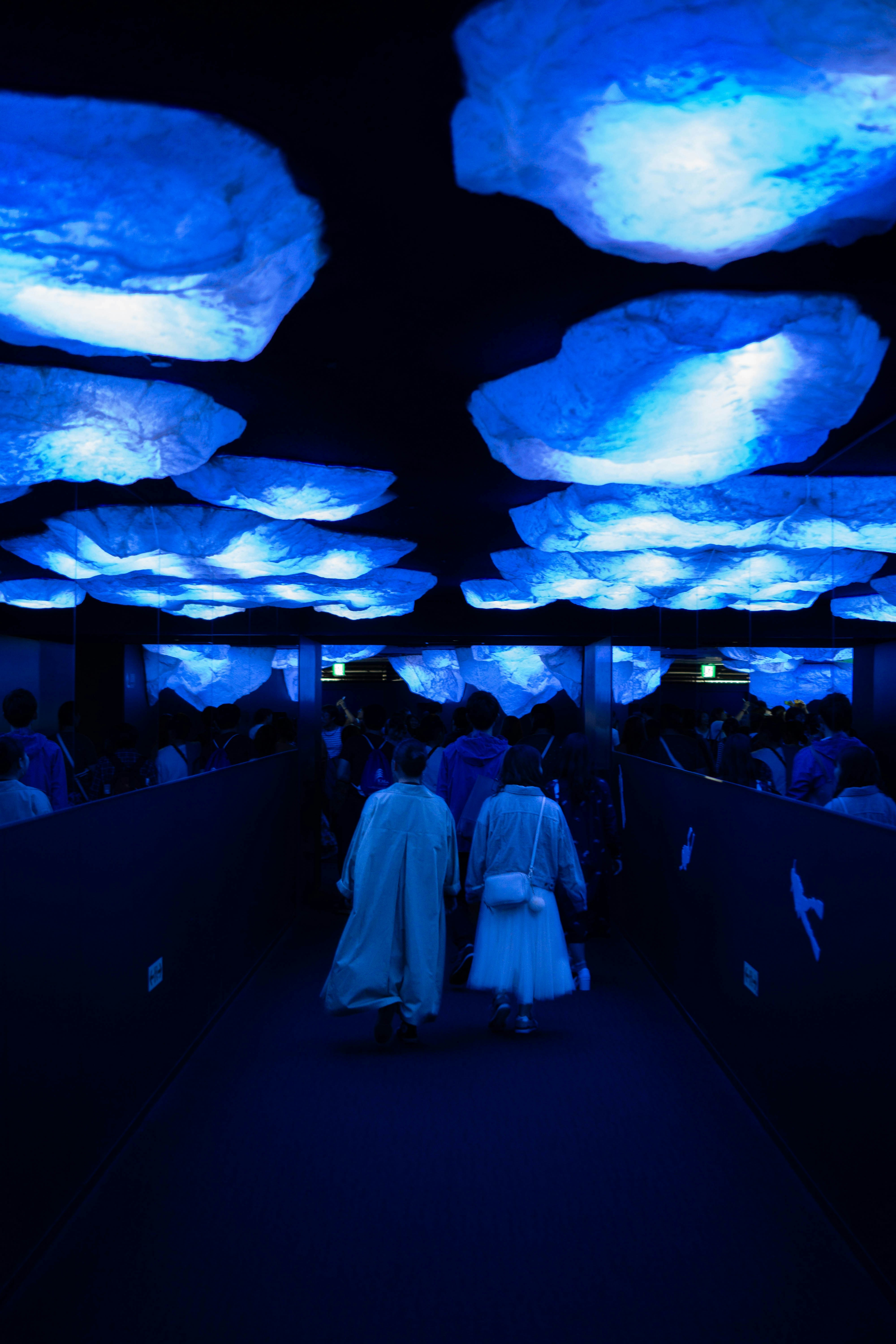 Osaka Aquarium Kaiyukan 3
