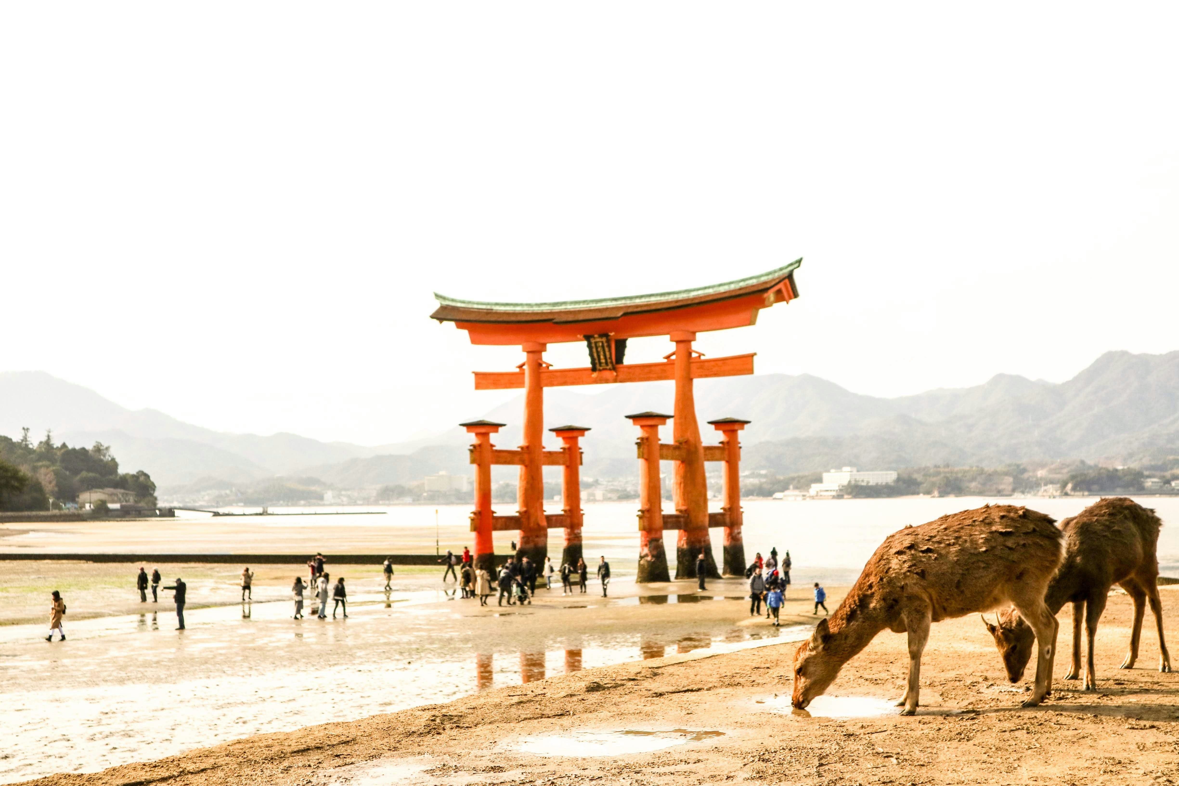 Great Torii Gate 3