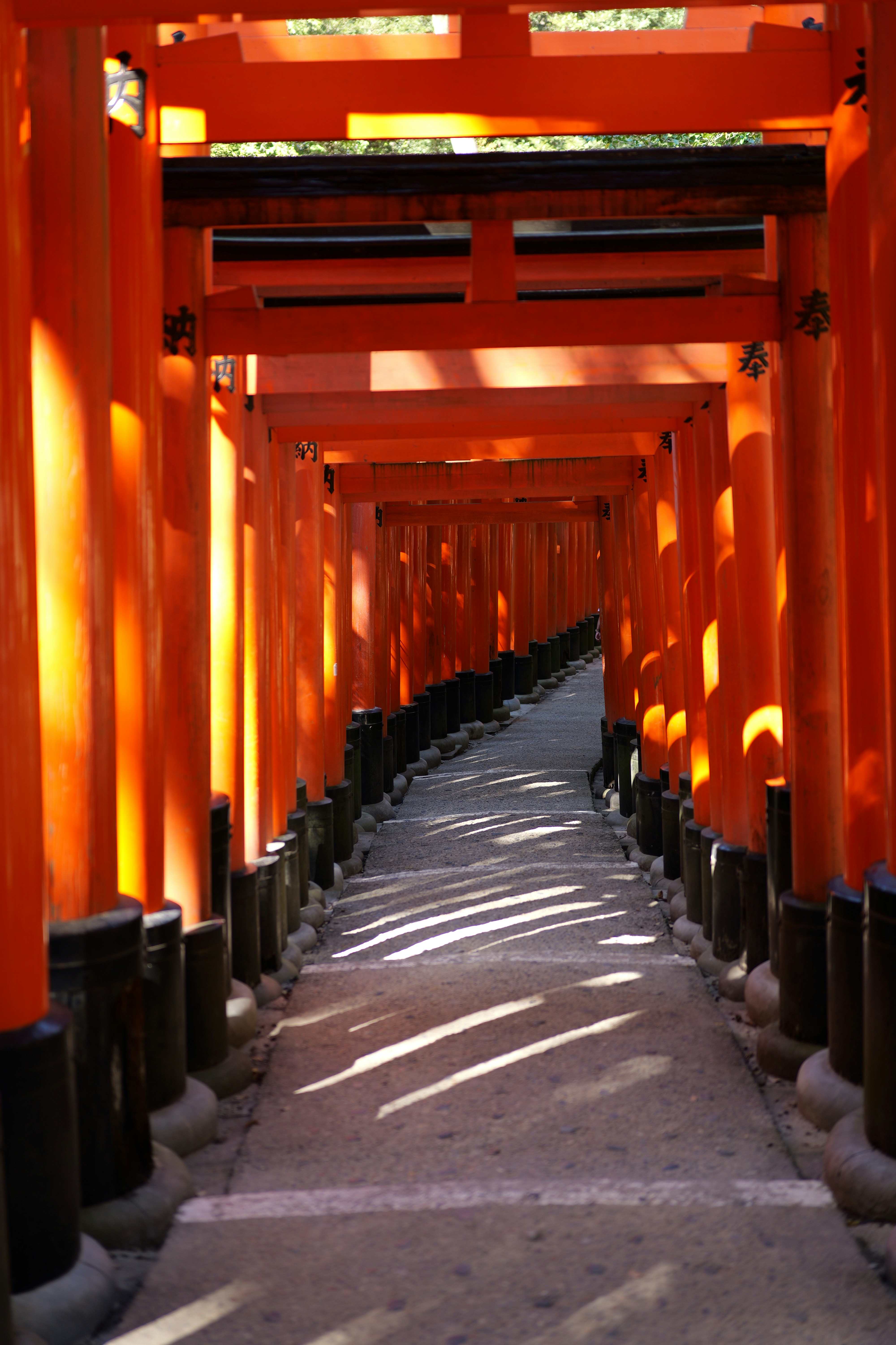 Fushimi Inari Taisha Shrine 3