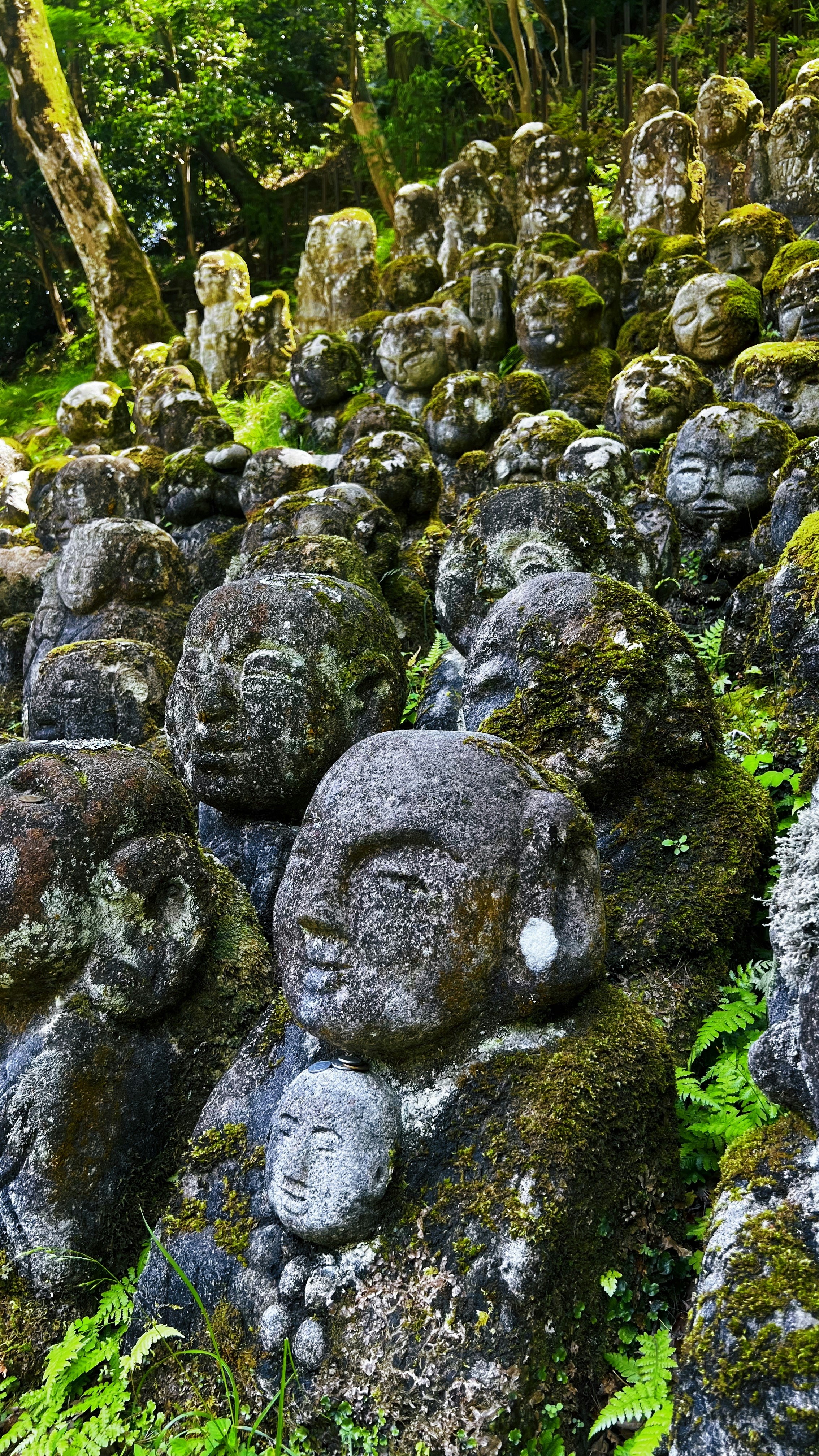 おたぎ念仏寺 2